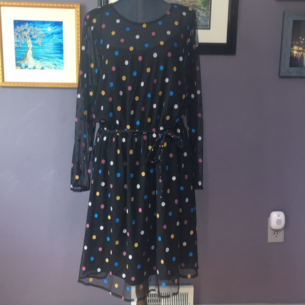 Modcloth Embroidered Dot Elastic Waist Dress NWT